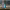https://res.cloudinary.com/billionhands/image/upload/v1773156432/items/sxrunsx8vbqnrois9ext.jpg-2cover
