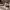 https://res.cloudinary.com/billionhands/image/upload/v1773159084/items/ri6hiywybrbdr5o0amld.jpg-3cover