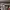 https://res.cloudinary.com/billionhands/image/upload/v1773230519/items/jvrsdpqpbpegpseg7qft.webp-0cover
