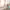 https://res.cloudinary.com/billionhands/image/upload/v1773230735/items/gp6qwdrdn4mrli492zux.jpg-2cover