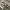 https://res.cloudinary.com/billionhands/image/upload/v1773230775/items/yga9z8nlbonjzlvhvusm.webp-1cover