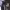 https://res.cloudinary.com/billionhands/image/upload/v1773230792/items/y3rqporfq8ilvwoeyyou.jpg-3cover