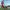 https://res.cloudinary.com/billionhands/image/upload/v1773230852/items/jpi69gcna11y3w4otxav.webp-3cover