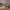 https://res.cloudinary.com/billionhands/image/upload/v1773230968/items/h1zbv2zgcvpamnku4xzq.jpg-3cover