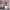 https://res.cloudinary.com/billionhands/image/upload/v1773230984/items/hxrdo4pvsjvuynsmtojs.jpg-1cover