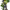 https://res.cloudinary.com/billionhands/image/upload/v1773230989/items/cn5f3eimejzhrh0josal.png-2cover