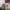 https://res.cloudinary.com/billionhands/image/upload/v1773230994/items/mto2mzsrsicjeughivsq.jpg-3cover