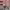 https://res.cloudinary.com/billionhands/image/upload/v1773231087/items/infxctlpwcp0z1342dot.webp-0cover