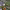 https://res.cloudinary.com/billionhands/image/upload/v1773231142/items/bbsygahod2fvllldsswl.jpg-0cover
