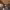 https://res.cloudinary.com/billionhands/image/upload/v1773231145/items/cnten4w075xfc8op3yoq.jpg-3cover