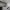 https://res.cloudinary.com/billionhands/image/upload/v1773231154/items/ilfukv3xi5j1diq2udbn.jpg-1cover