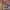 https://res.cloudinary.com/billionhands/image/upload/v1773231156/items/ri9ef3uboslvyvval1yk.jpg-3cover