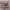 https://res.cloudinary.com/billionhands/image/upload/v1773231180/items/puun8sngjaqszbzvkfoc.webp-2cover