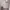 https://res.cloudinary.com/billionhands/image/upload/v1773231220/items/ixkthqxkzmvenb8kbhsl.jpg-1cover