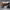 https://res.cloudinary.com/billionhands/image/upload/v1773231222/items/c9ttccqkvk3bnjumqx5i.jpg-2cover