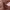 https://res.cloudinary.com/billionhands/image/upload/v1773231256/items/ynoojdcqatxvjvgrhwrx.jpg-1cover