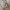 https://res.cloudinary.com/billionhands/image/upload/v1773231273/items/kvfqz1kaacmjpcyzwecm.jpg-3cover