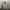 https://res.cloudinary.com/billionhands/image/upload/v1773231386/items/ncztfbo9skzjbiq16pcv.jpg-3cover