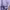 https://res.cloudinary.com/billionhands/image/upload/v1773231396/items/lkvbdmqmdgume1kwhebq.png-2cover