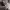https://res.cloudinary.com/billionhands/image/upload/v1773231435/items/uxjktcf4vqji43fefoyz.png-0cover