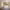 https://res.cloudinary.com/billionhands/image/upload/v1773231436/items/semiqpvjwwwmk2dzobpq.jpg-0cover