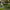 Garden Maintenance and Multiservicios Palmera (Seville) cover
