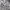 https://res.cloudinary.com/billionhands/image/upload/v1773231442/items/xawm0ofjc90qrjcqfvdp.jpg-3cover
