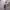 https://res.cloudinary.com/billionhands/image/upload/v1773231452/items/sxu4oqnlomhbhh4qltlj.jpg-2cover