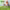 https://res.cloudinary.com/billionhands/image/upload/v1773231455/items/rksfkbivt5n8ko4ewest.jpg-2cover