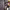 https://res.cloudinary.com/billionhands/image/upload/v1773231485/items/uknggi3xtmqz6exdwajh.jpg-0cover