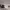 https://res.cloudinary.com/billionhands/image/upload/v1773231486/items/il3qaqf2qdbdw43qouzv.webp-2cover