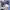 https://res.cloudinary.com/billionhands/image/upload/v1773231527/items/ffxe30ufwhqbwtpyzsq1.jpg-1cover