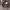 https://res.cloudinary.com/billionhands/image/upload/v1773231533/items/ivbfwshdktktwbumas5h.jpg-3cover