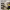 https://res.cloudinary.com/billionhands/image/upload/v1773231569/items/zpflphb1o3natcqaknmf.avif-1cover