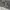 https://res.cloudinary.com/billionhands/image/upload/v1773231754/items/hjbexbljek64w7tjwdrd.jpg-2cover