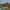 https://res.cloudinary.com/billionhands/image/upload/v1773231754/items/vxxwatefveyhkewn2zbg.jpg-3cover