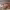 https://res.cloudinary.com/billionhands/image/upload/v1773231787/items/he2fcpyrhmjwolfunmws.jpg-3cover