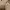 https://res.cloudinary.com/billionhands/image/upload/v1773231807/items/wpmdirittiqdlxeznuuo.jpg-3cover
