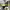 https://res.cloudinary.com/billionhands/image/upload/v1773231849/items/wk7xoem5q7lvhnlr9se4.png-0cover