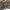https://res.cloudinary.com/billionhands/image/upload/v1773231852/items/ezqojmp4g3iilaliaex2.jpg-0cover