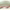 https://res.cloudinary.com/billionhands/image/upload/v1773231861/items/cjjkyxr15qrafkxuueid.jpg-2cover