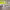 https://res.cloudinary.com/billionhands/image/upload/v1773231873/items/rbmojguavsuifsg09g56.png-2cover