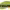 https://res.cloudinary.com/billionhands/image/upload/v1773231901/items/chxfugsvuvr4agz4mp8r.webp-0cover