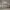 https://res.cloudinary.com/billionhands/image/upload/v1773231901/items/gwj30zzuritxzmmnc3cz.jpg-1cover