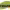 https://res.cloudinary.com/billionhands/image/upload/v1773231906/items/dgtp3atqvopthkebwihn.png-2cover
