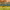 https://res.cloudinary.com/billionhands/image/upload/v1773231915/items/ttgkzaaifjkuttxunrmh.jpg-3cover