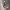https://res.cloudinary.com/billionhands/image/upload/v1773231985/items/os8sm8uytx83tbs2epke.jpg-0cover