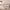 https://res.cloudinary.com/billionhands/image/upload/v1773232019/items/cwu8sho5ex3jwcv9do7a.webp-2cover
