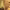 https://res.cloudinary.com/billionhands/image/upload/v1773232019/items/xzwvos4ecpiryy6p4svu.jpg-0cover