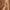 https://res.cloudinary.com/billionhands/image/upload/v1773232022/items/zedsjkltkulw2vkegvo7.png-3cover